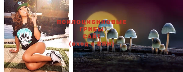 марки lsd Абаза