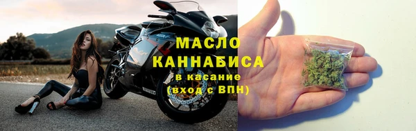 гидра Новозыбков