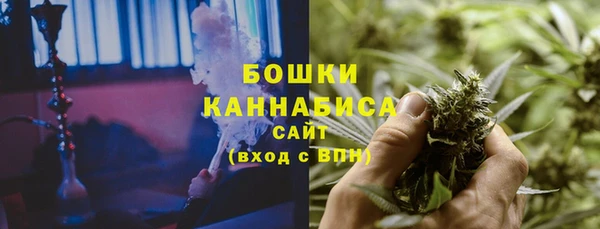 индика Абдулино