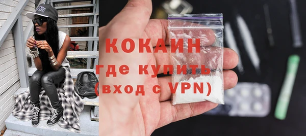 гидра Новозыбков