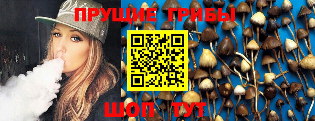 Галлюциногенные грибы Cubensis  Вход с VPN  Чита  Псилоцибиновые грибы Cubensis 