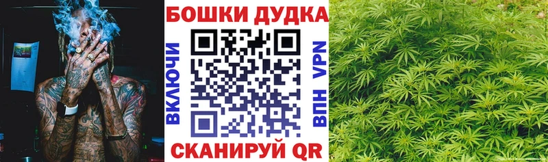 Шишки марихуана планчик  Чита 